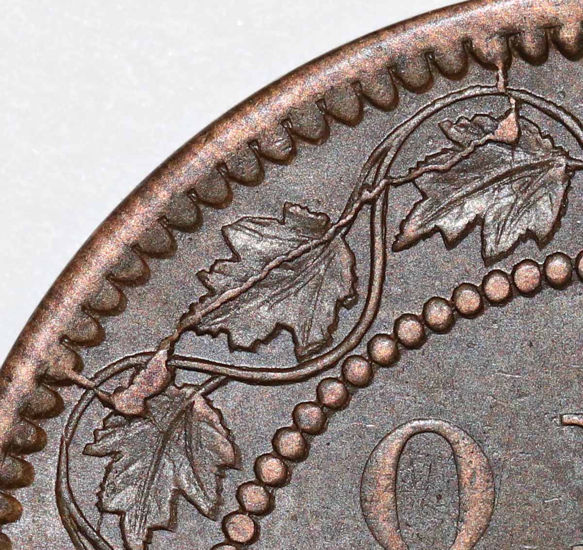 1859-Canadian-Large-Cents-From-The-Okiecoiner-Collection