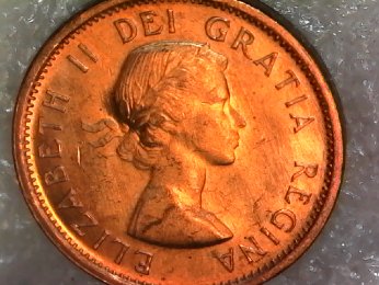 1963-Canadian-Beauty-,-Is-She-Worth-A-Peek?