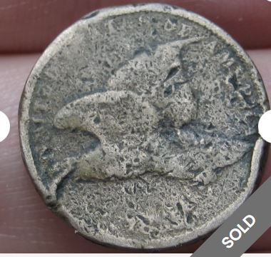 Some-Flying-Eagle-And-Indian-Head-Cents