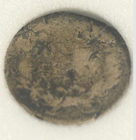 Some-Flying-Eagle-And-Indian-Head-Cents