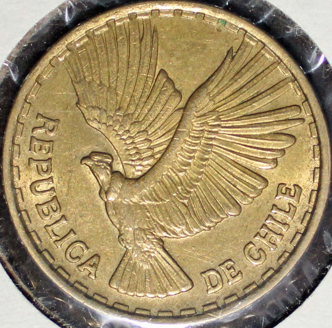 Post-Your-Bird-Coins
