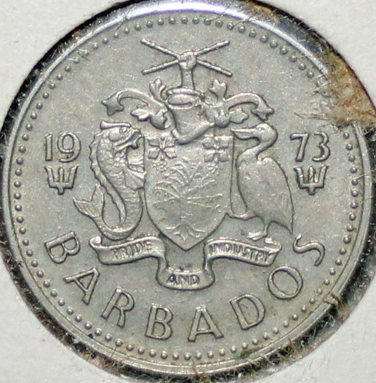 Post-Your-Bird-Coins