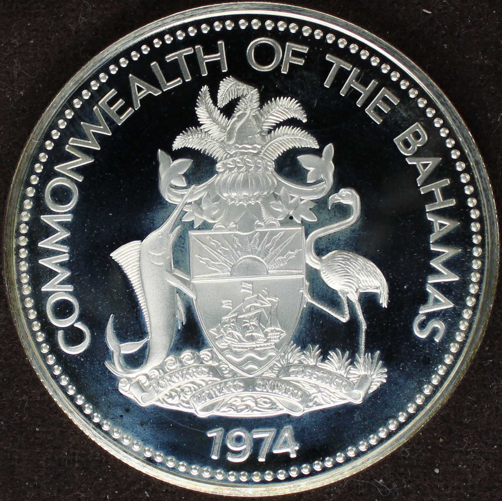 Post-Your-Bird-Coins
