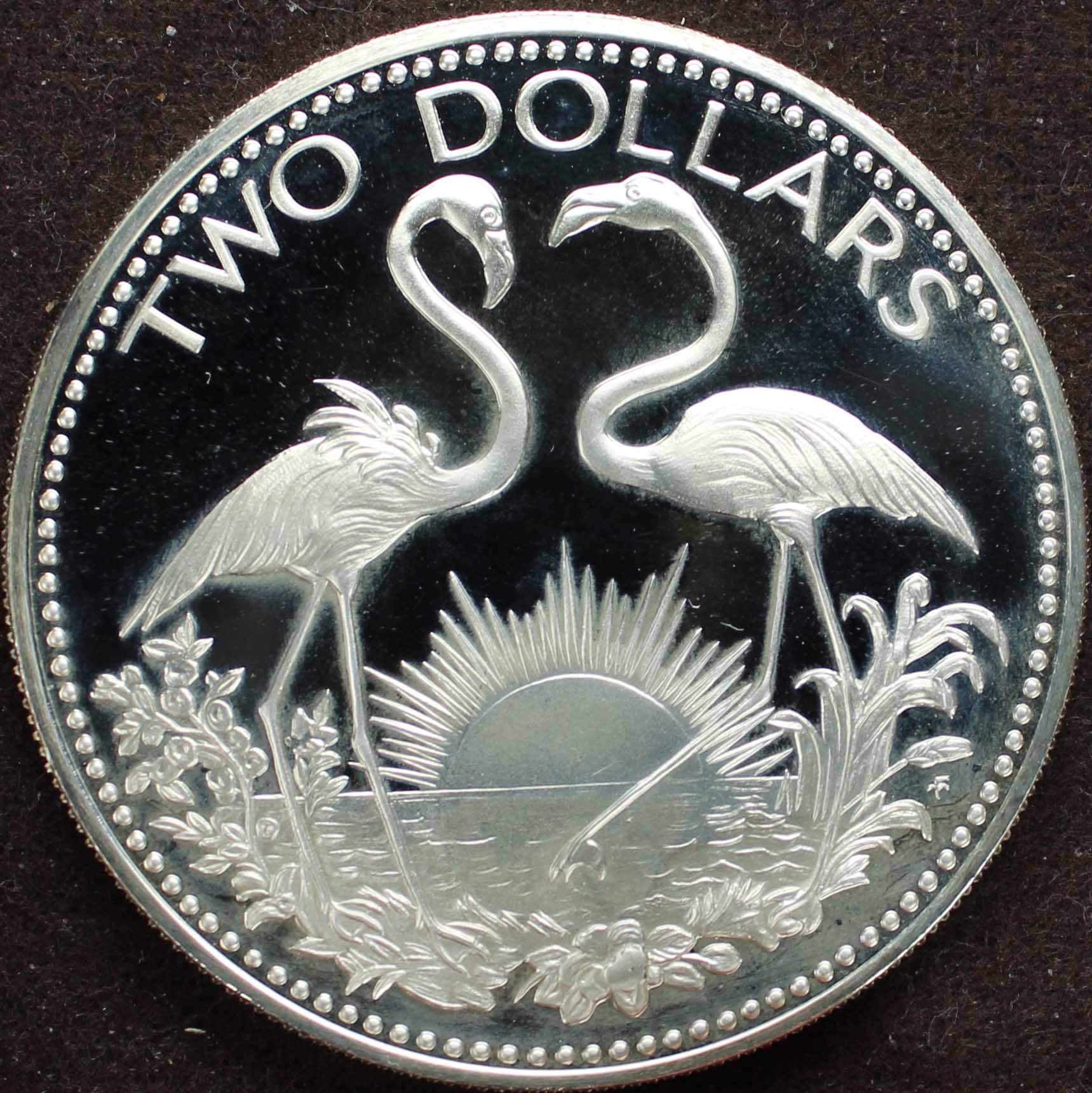 Post-Your-Bird-Coins