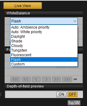 Focusing-At-200%-Using-EOS-Utility-Remote-Live-View