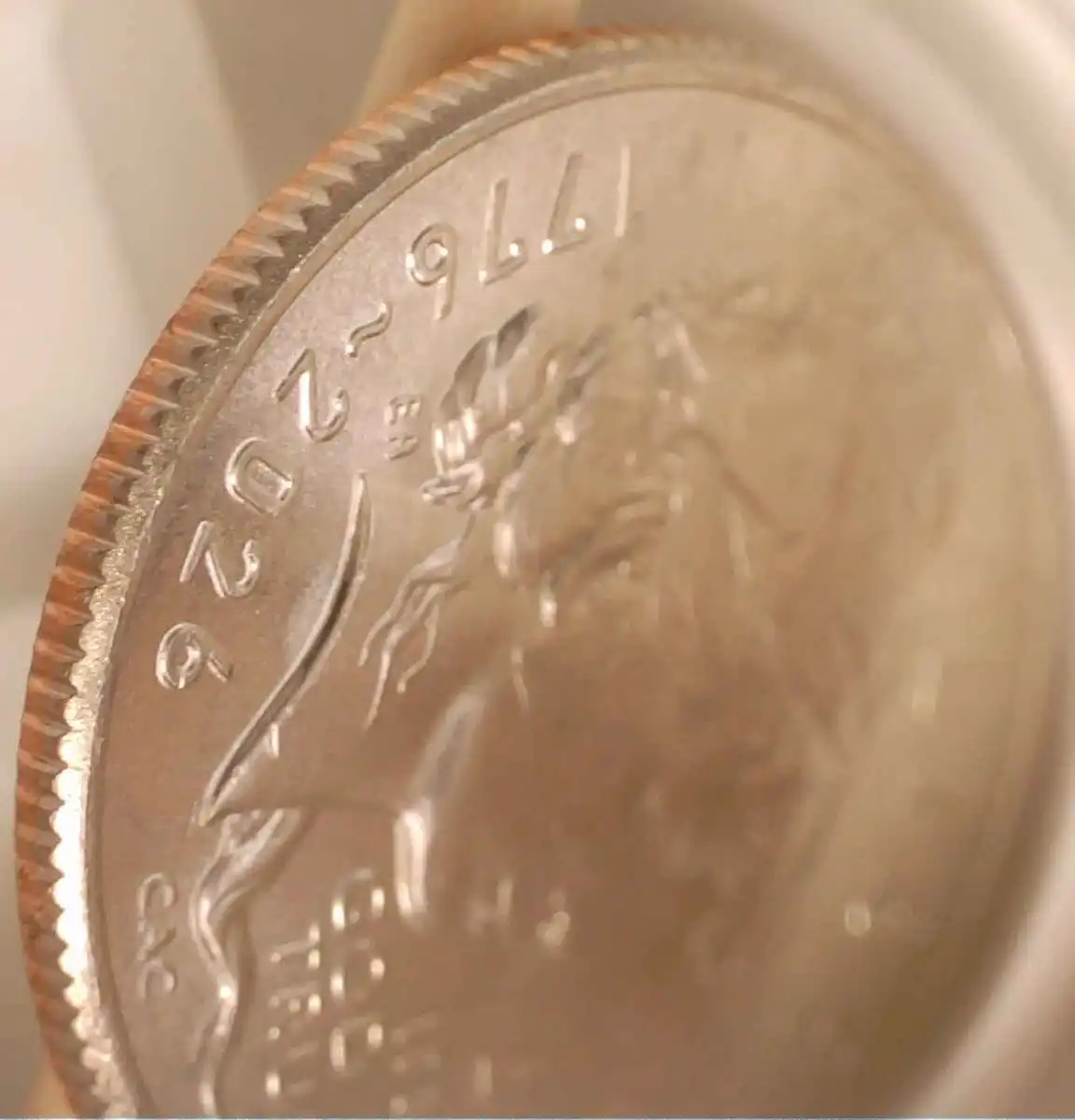 2026-P-Dime---Channel-Below-The-Neck