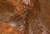 1942-Lincoln-Cent-DDO-FS-101?