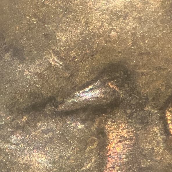 Possible-1927-P-Lincoln-Cent-DDO-FS-101