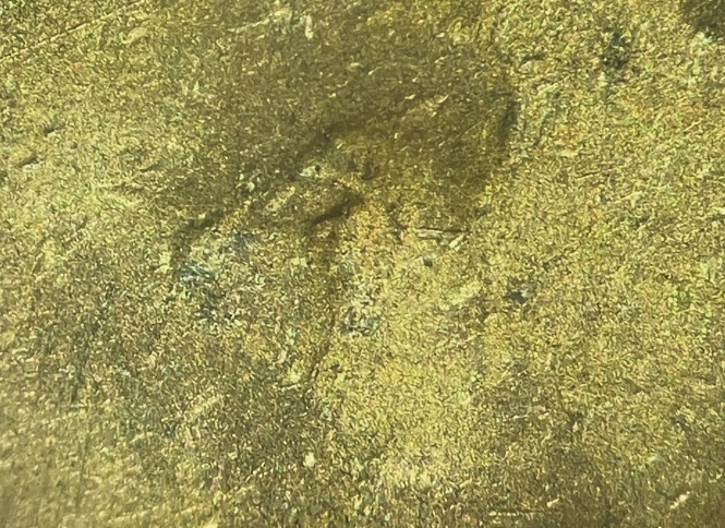 1917-Lincoln-Cent-DDO-FS-101---Trace-Of-Camel-Toe-On-9-With-Bells-And-Whistles-Of-The-Variety
