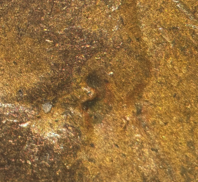 1935-Lincoln-Cent-DDO-FS-101---Several-Possible-Examples