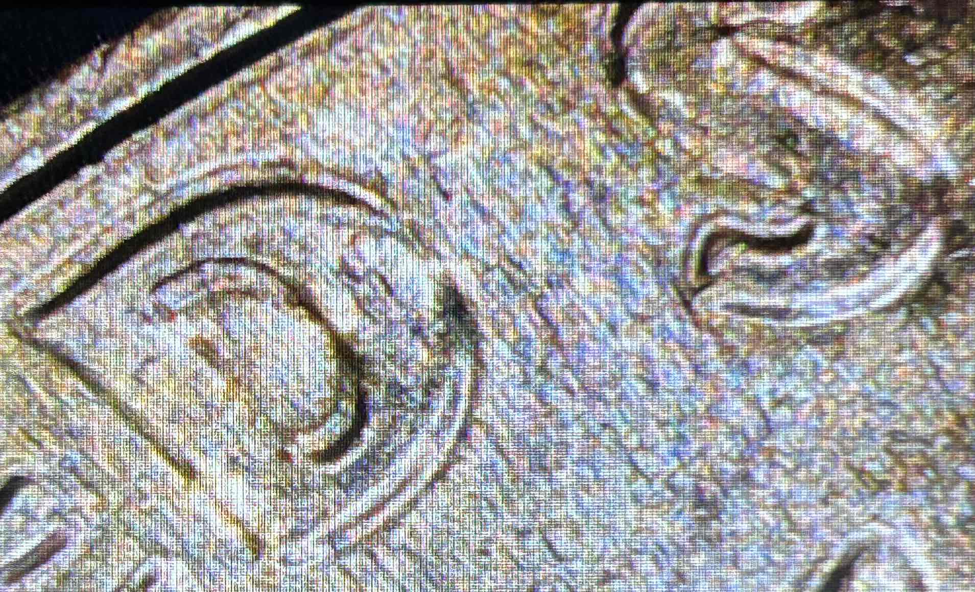 2016-D-Dime-DDO-/-DDR-Or-Other-Error?