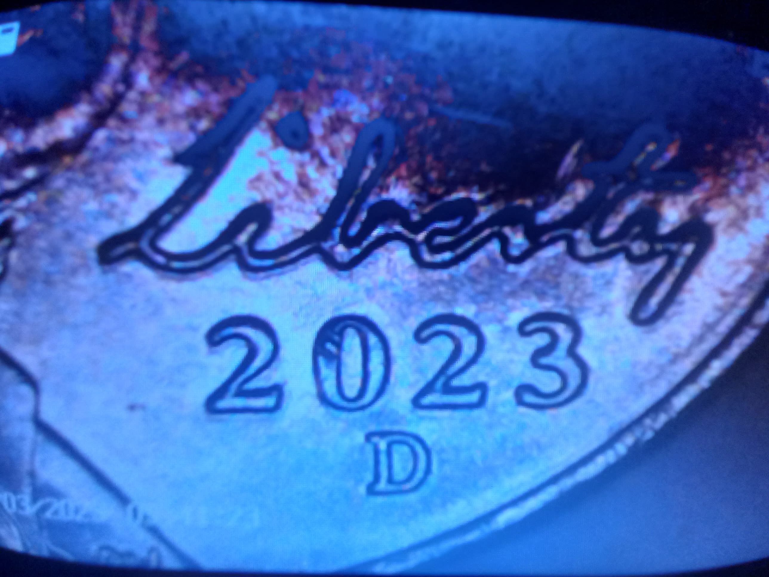 2023-D-Nickel-Strike-Double-Question