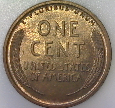 1916-LWC---Thoughts-On-Mpl?