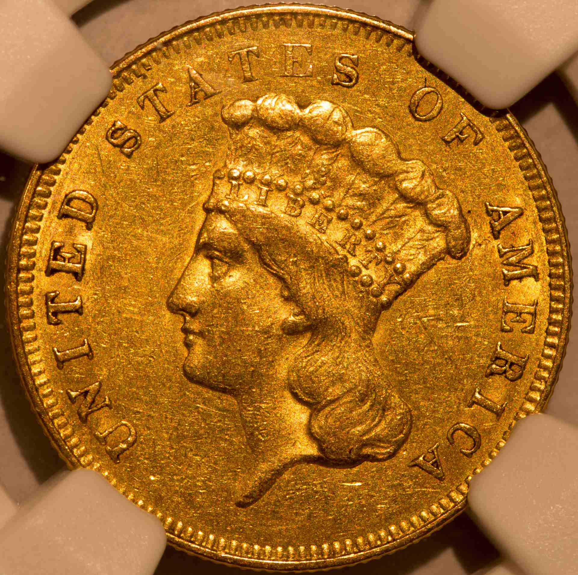 A-Recent-Princess-Acquisition-1857-3-Dollars
