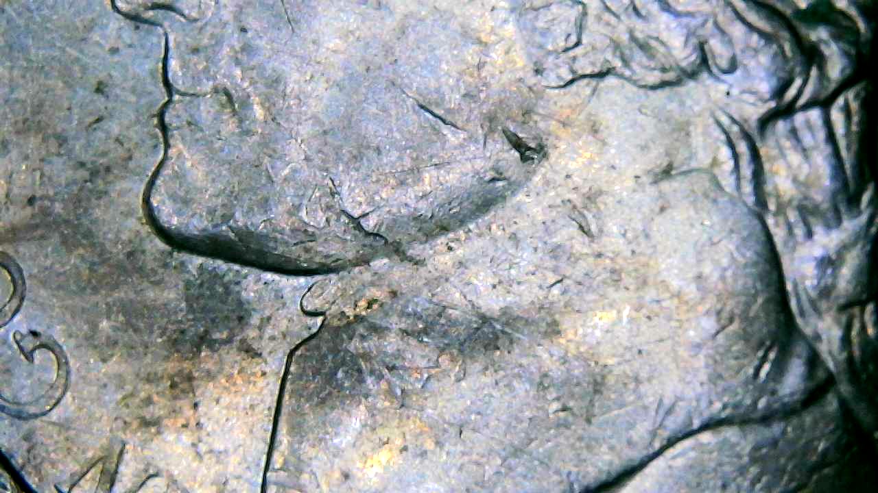 Is-This-A-Die-Crack-On-My-2004-Lewis-&-Clark-Nickel-And-Whats-Up-With-His-Nose