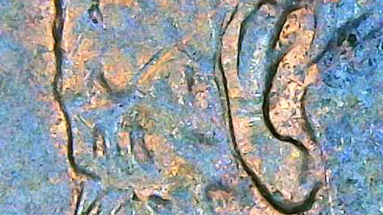 On-My-1997-D-Penny-Could-That-Be-A-Doubled-Ear-On-The-Back-Side-Of-The-Ear