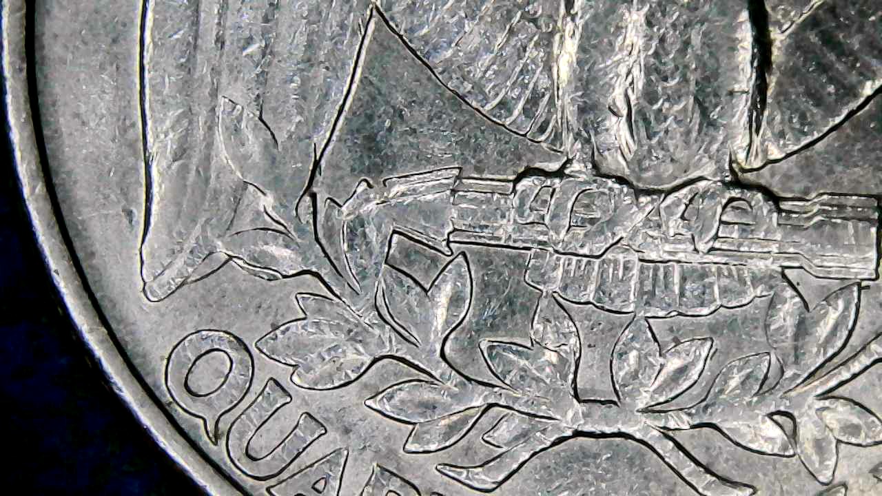 1993-D-Quarter-On-The-Leaf-Next-To-The-Tip-Of-The-Wing-Is-It-Damage-Or-An-Error