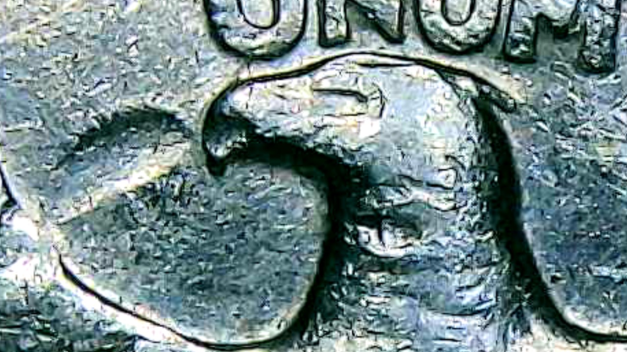1991-D-Quarter-I-Have-A-Couple-Of-Questions-On-The-Reverse-What-Is-That-By-The-Beak