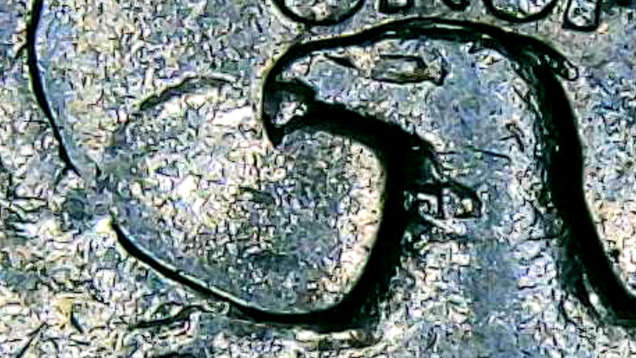 1991-D-Quarter-I-Have-A-Couple-Of-Questions-On-The-Reverse-What-Is-That-By-The-Beak