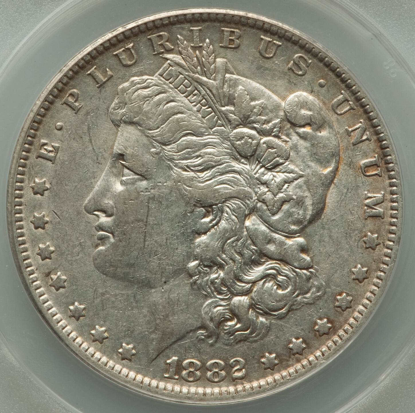 1882-O-ANACS:-Guess-Her-Grade-And-VAMnicity