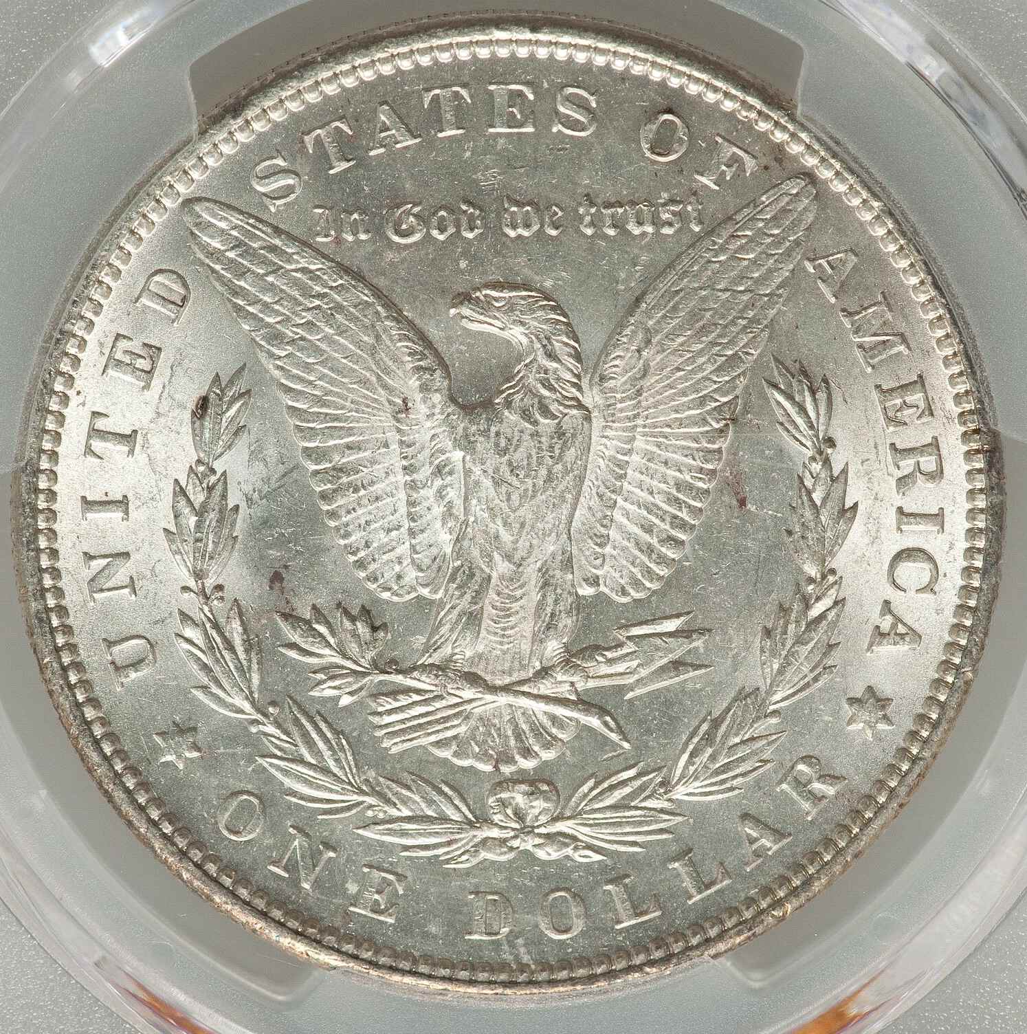 1891-Morgan-Dollar-PCGS:-Moderate-Facial-Injuries