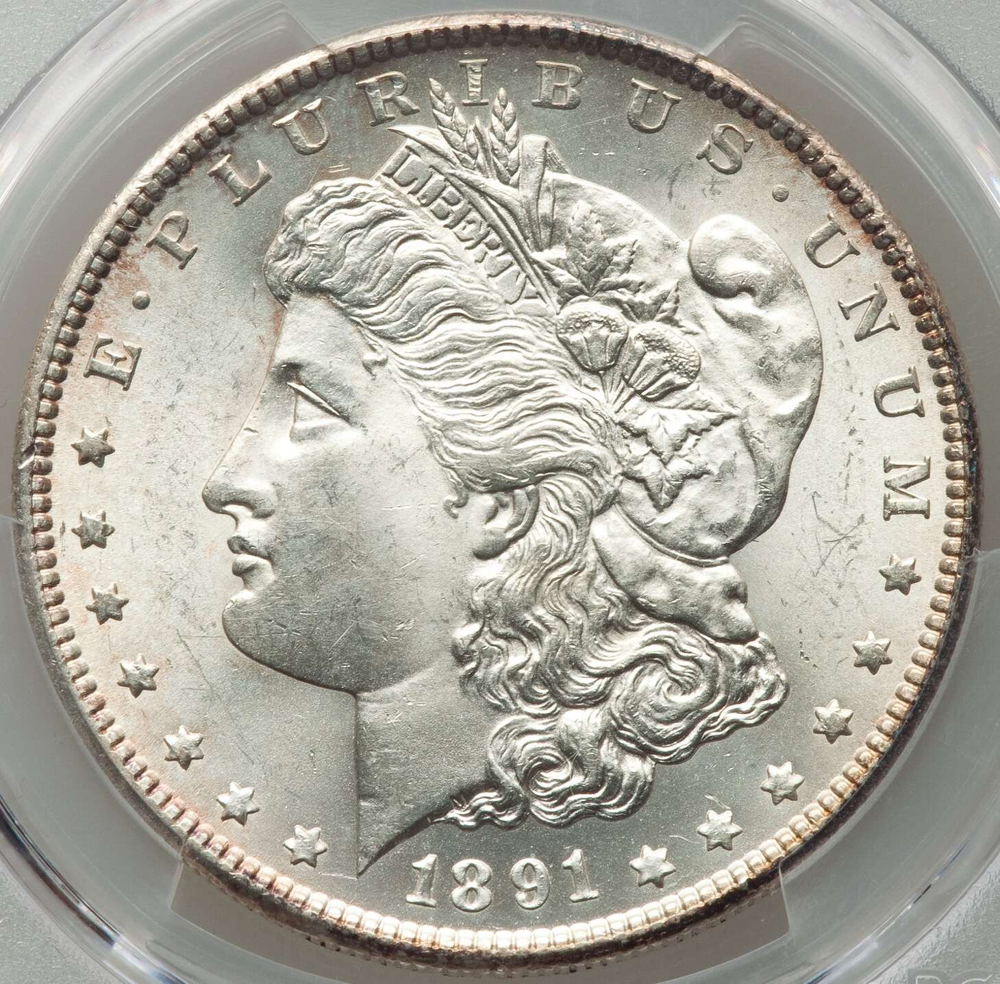 1891-S-Morgan-Dollar-PCGS:-Forgive-Me-For-Over-Paying