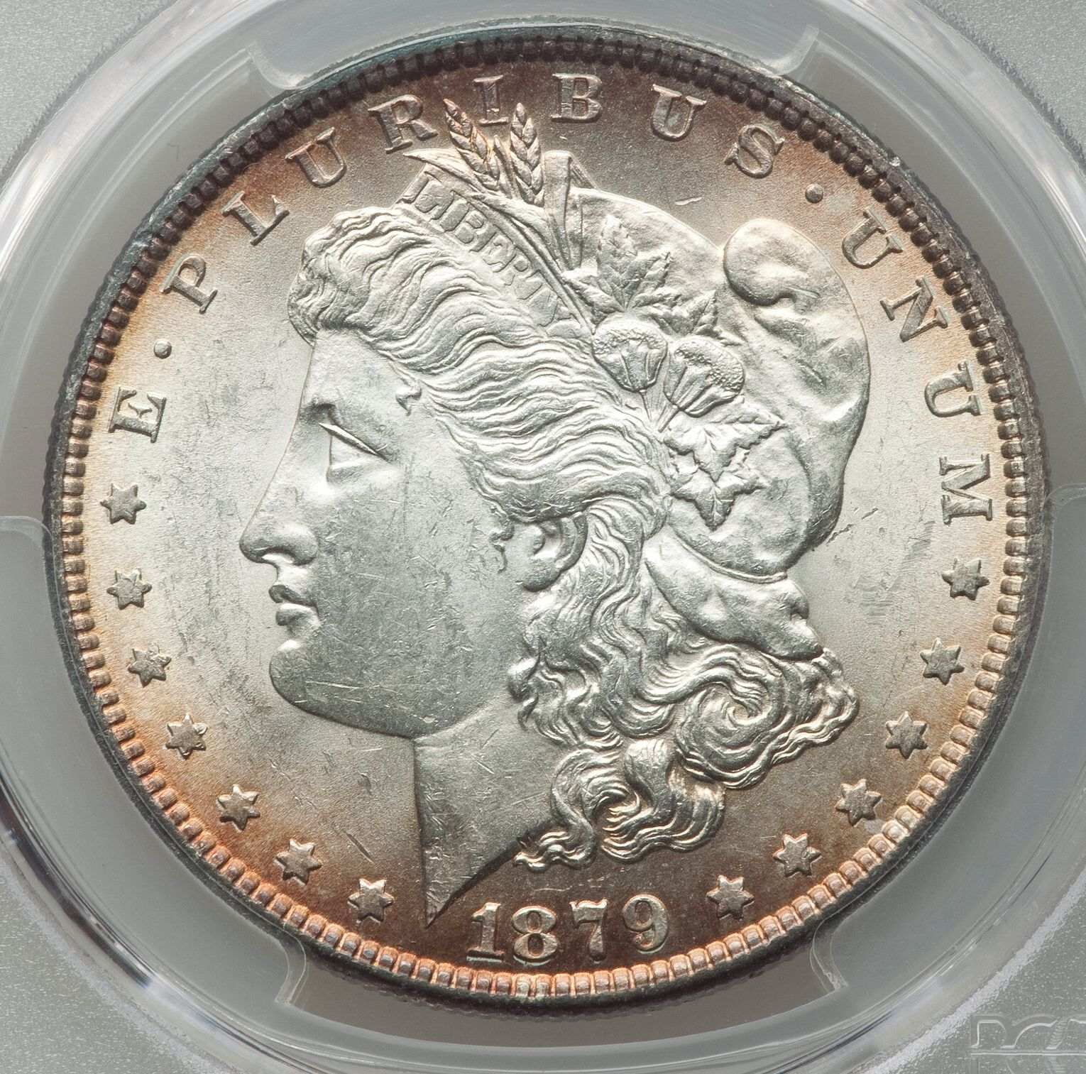 1879-Morgan:-PCGS-Misgrade?