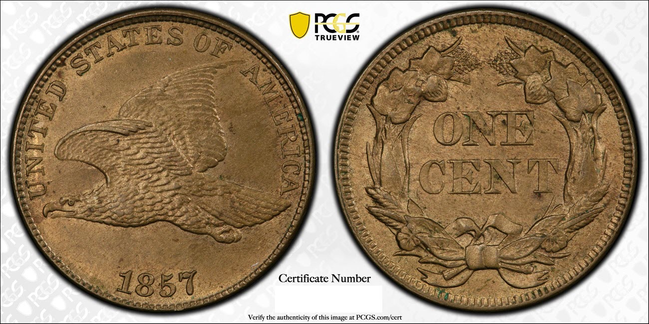 1857-Flying-Eagle-For-Your-Opinion