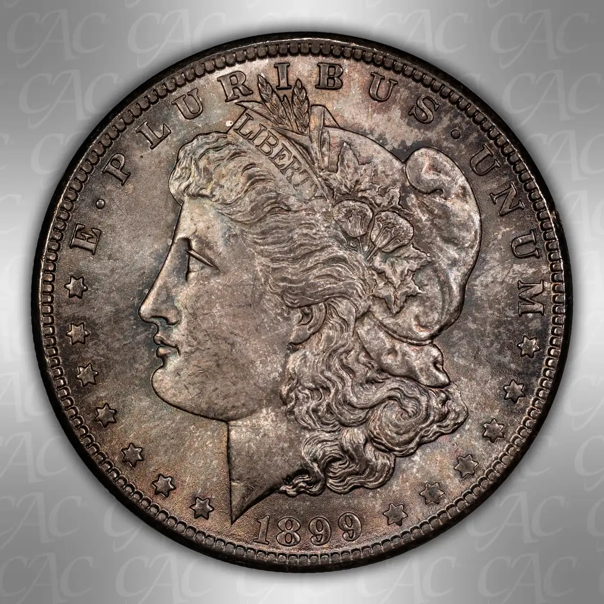 1899-O-$1:-You-Vs.-CACG