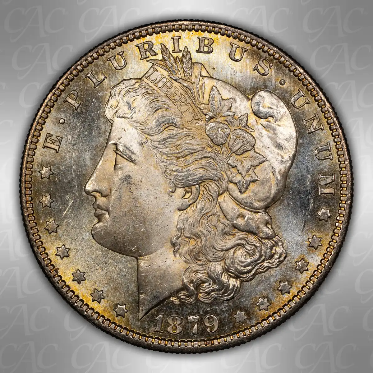 1879-S-$1:--You-Vs.-CACG