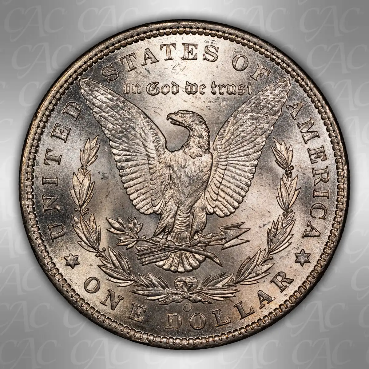 1900-O-$1:--You-Vs.-CACG-#3