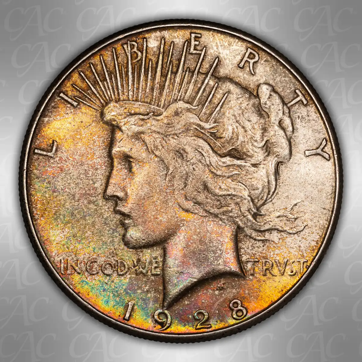 1928-S-$1-Toned:-CACG-Vs.-You