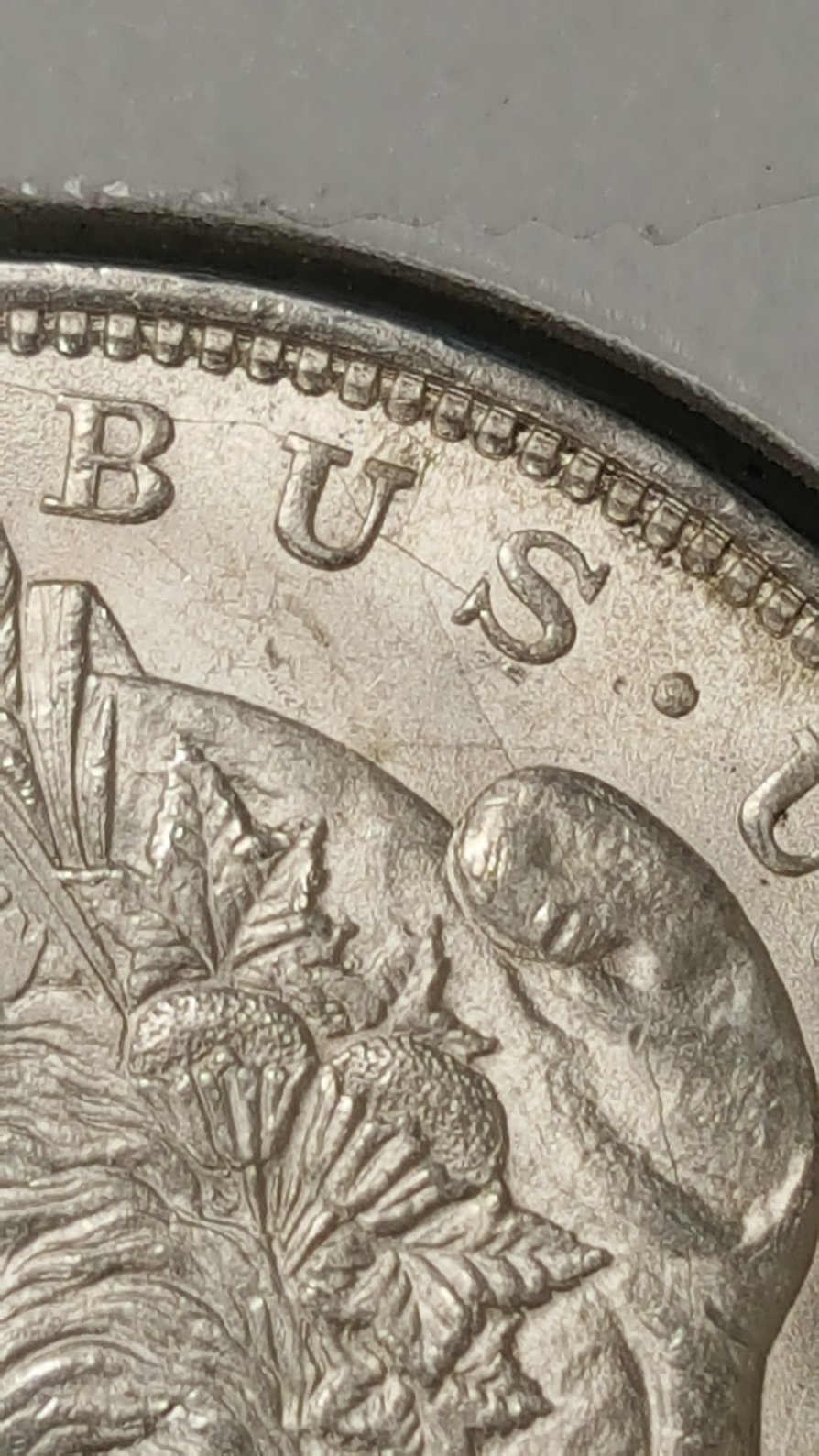 1921-P-Morgan-Dollar.-What-VAM-Is-It?-New?--What-Kind-Of-Grade?-Any-Info-Ty