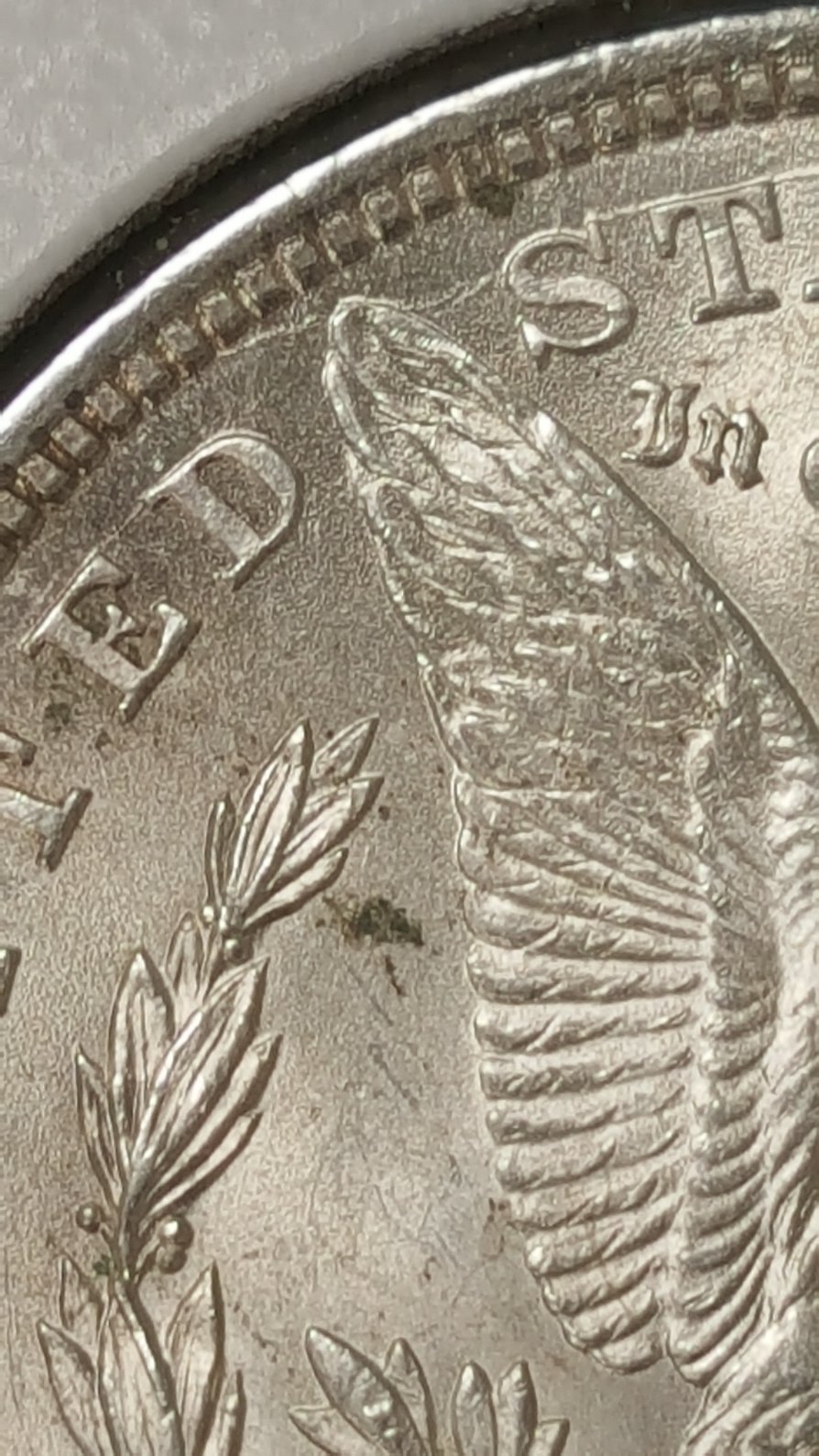 1921-P-Morgan-Dollar.-What-VAM-Is-It?-New?--What-Kind-Of-Grade?-Any-Info-Ty