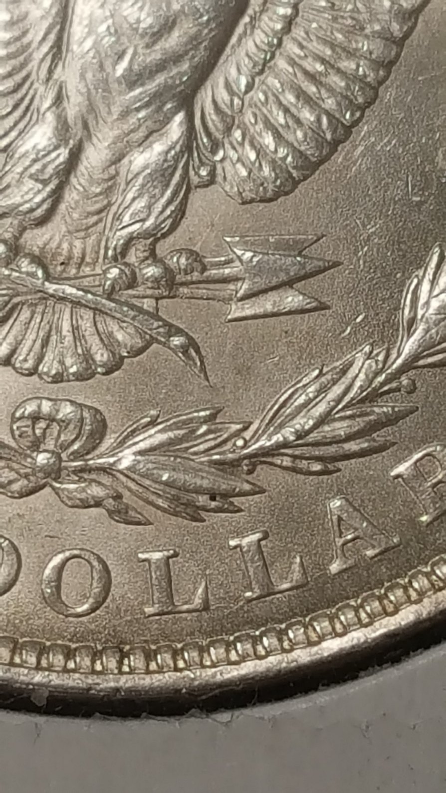 1921-P-Morgan-Dollar.-What-VAM-Is-It?-New?--What-Kind-Of-Grade?-Any-Info-Ty