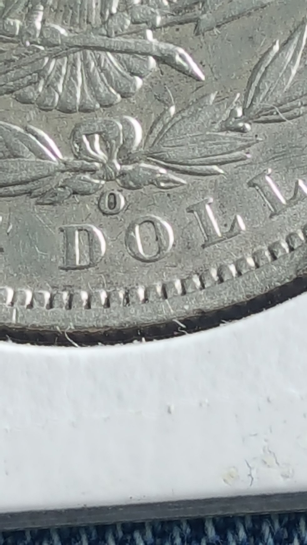 1891-O-Morgan-Dollar.-Cant-Figure-Out-What-Type-Of-VAM-It-Is.-Please-Help!?