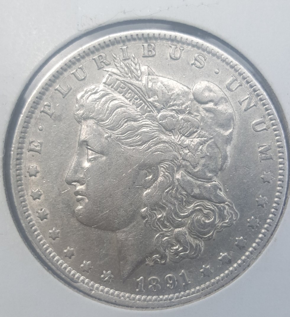 1891-O-Morgan-Dollar.-Cant-Figure-Out-What-Type-Of-VAM-It-Is.-Please-Help!?