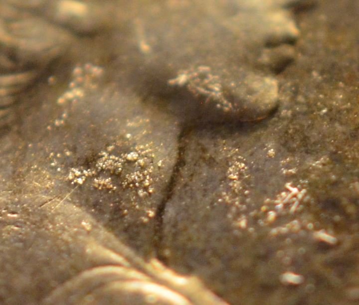 Specimen-Dollar-On-Ebay?