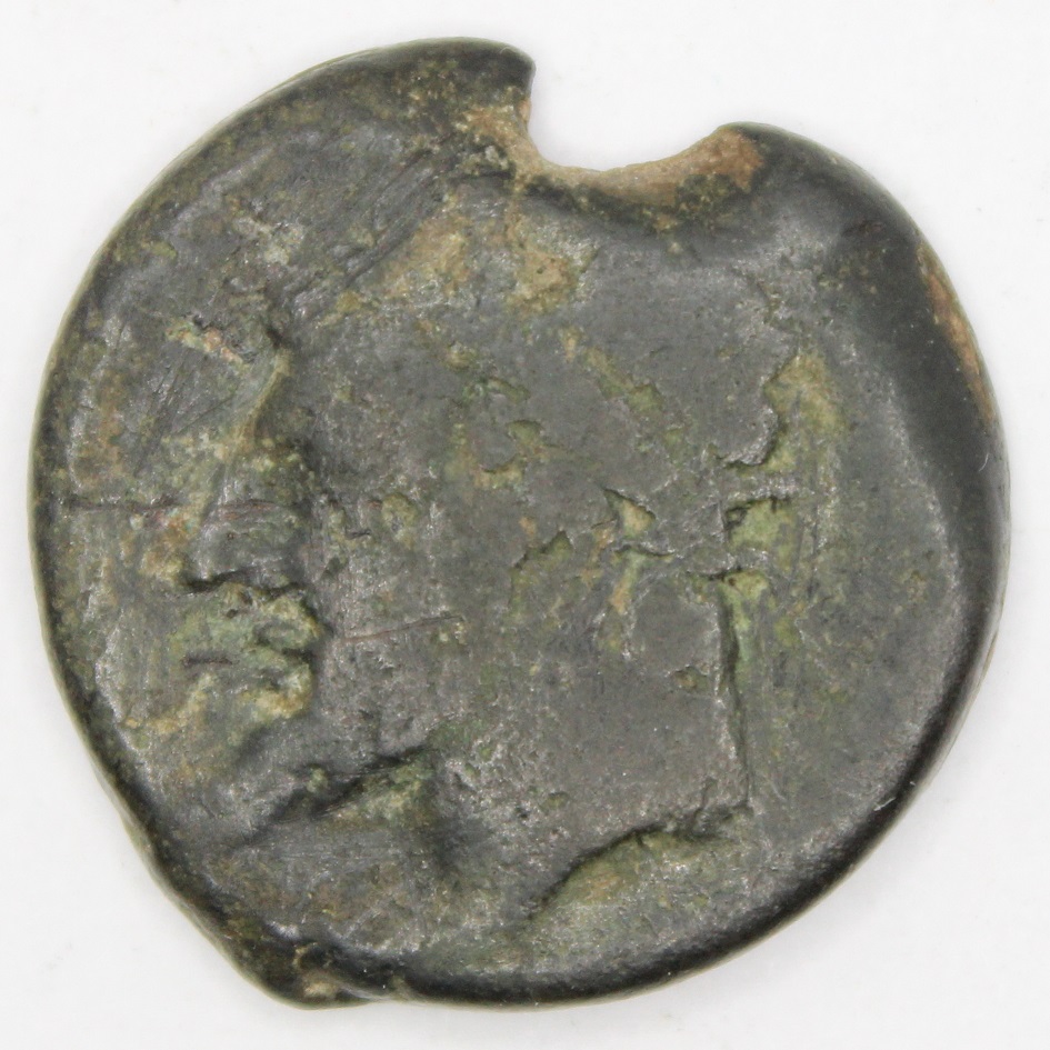 Identification-Help-Please