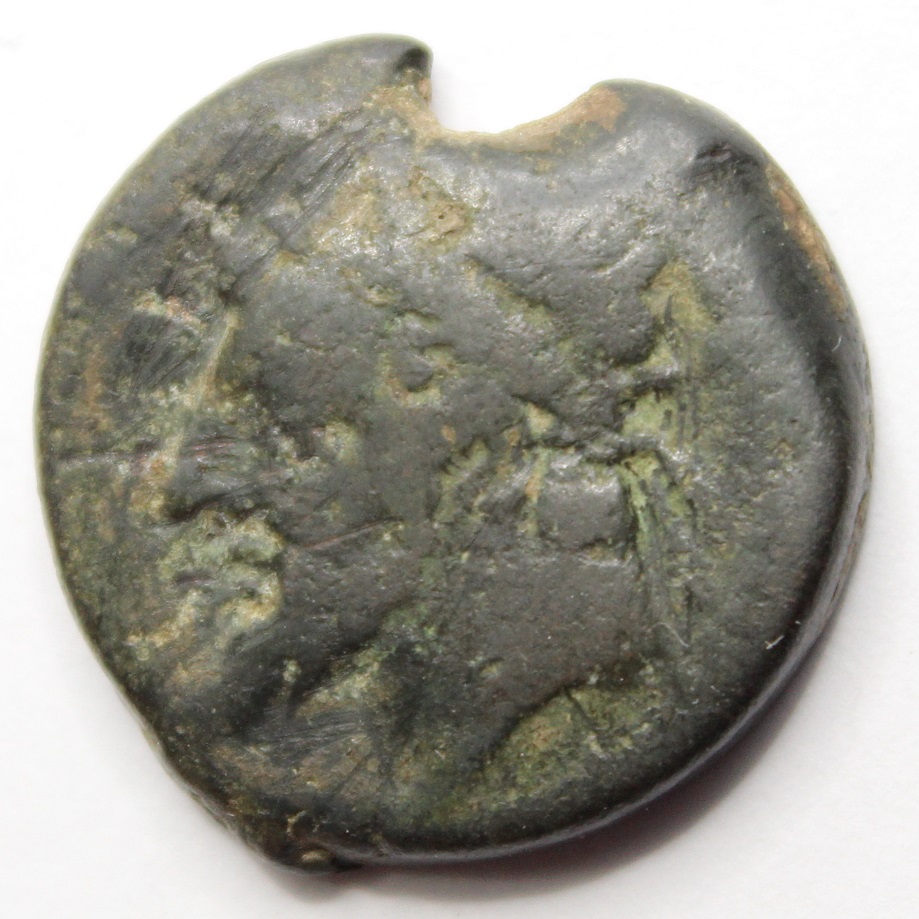 Identification-Help-Please