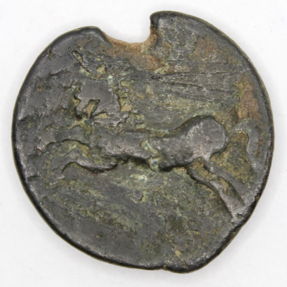 Identification-Help-Please