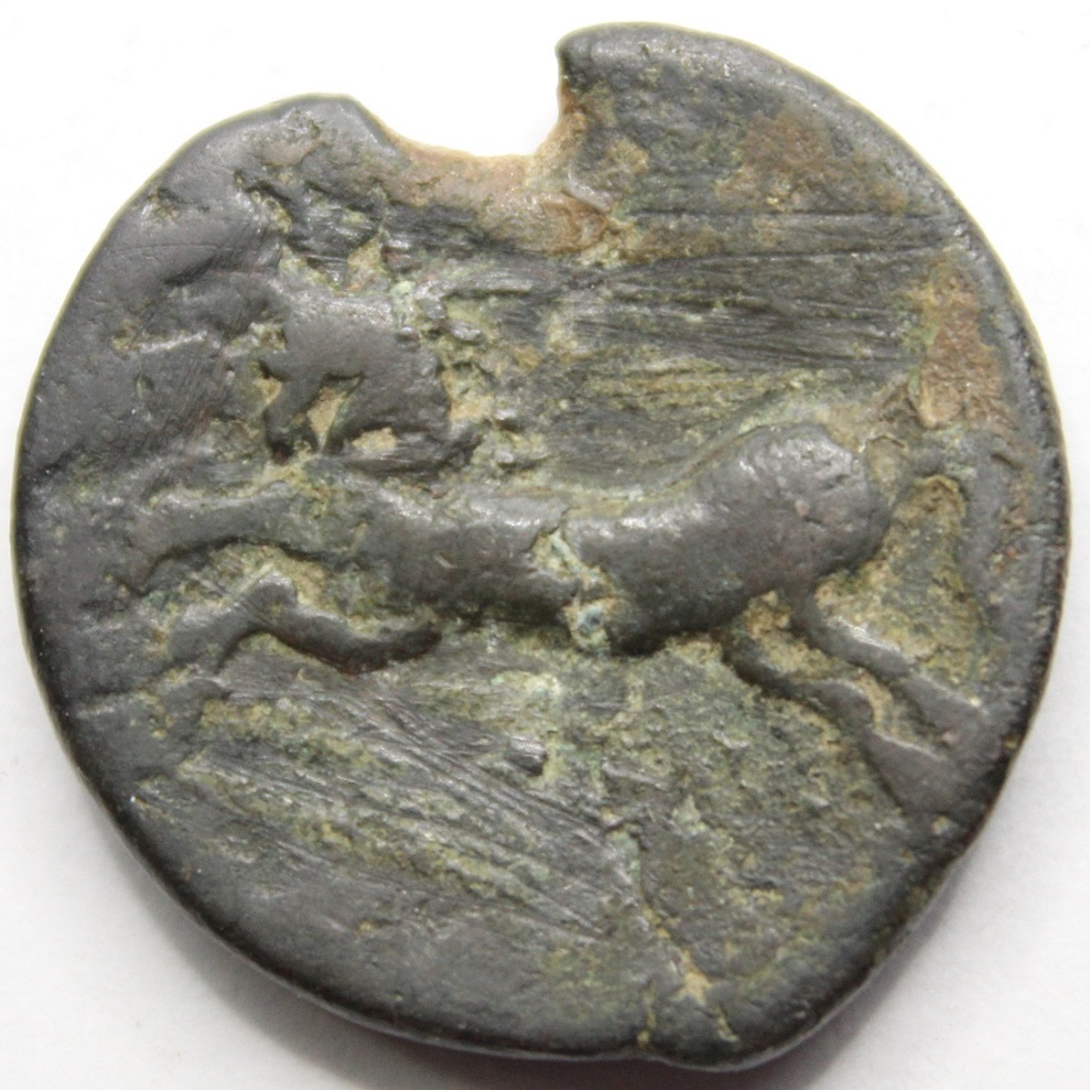Identification-Help-Please