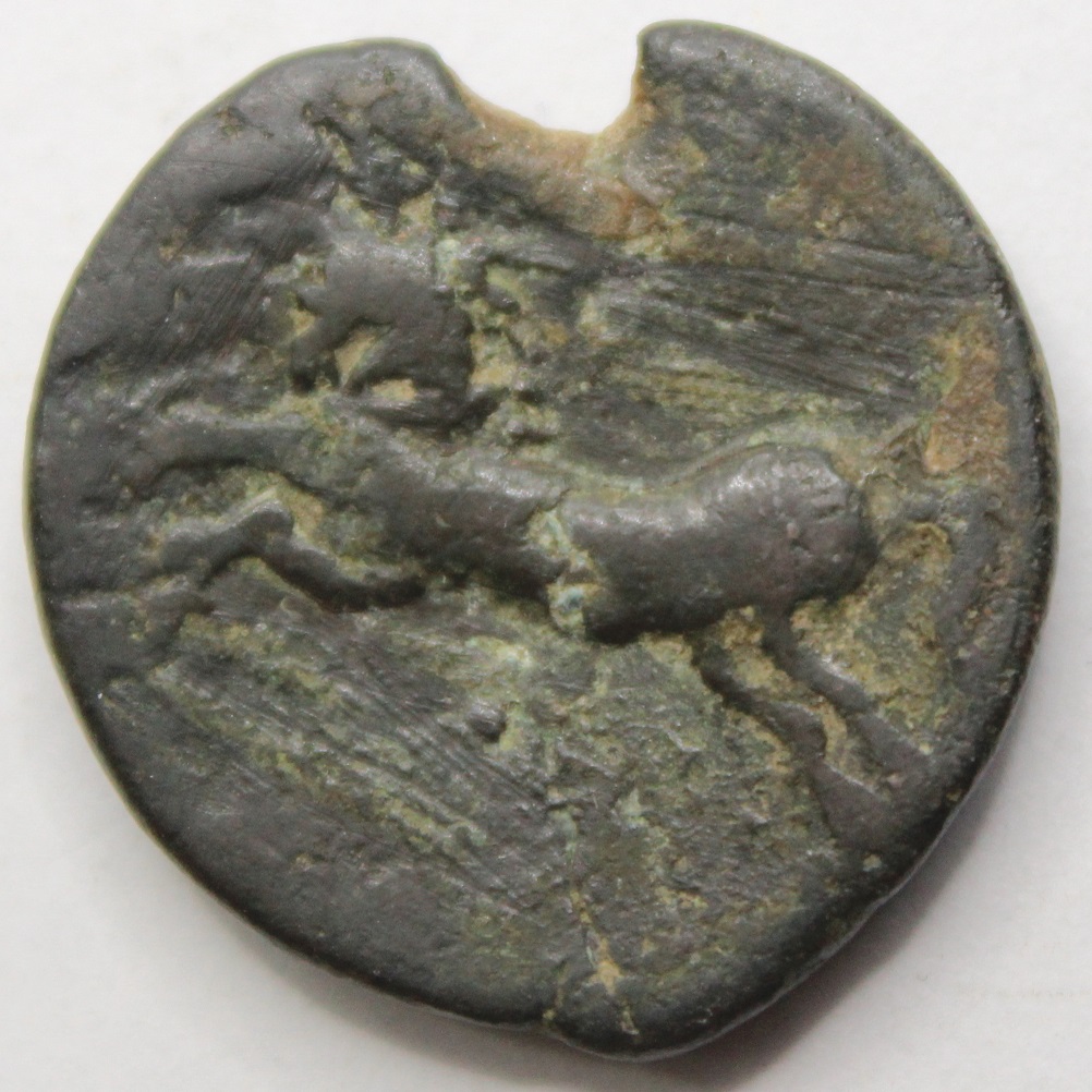 Identification-Help-Please