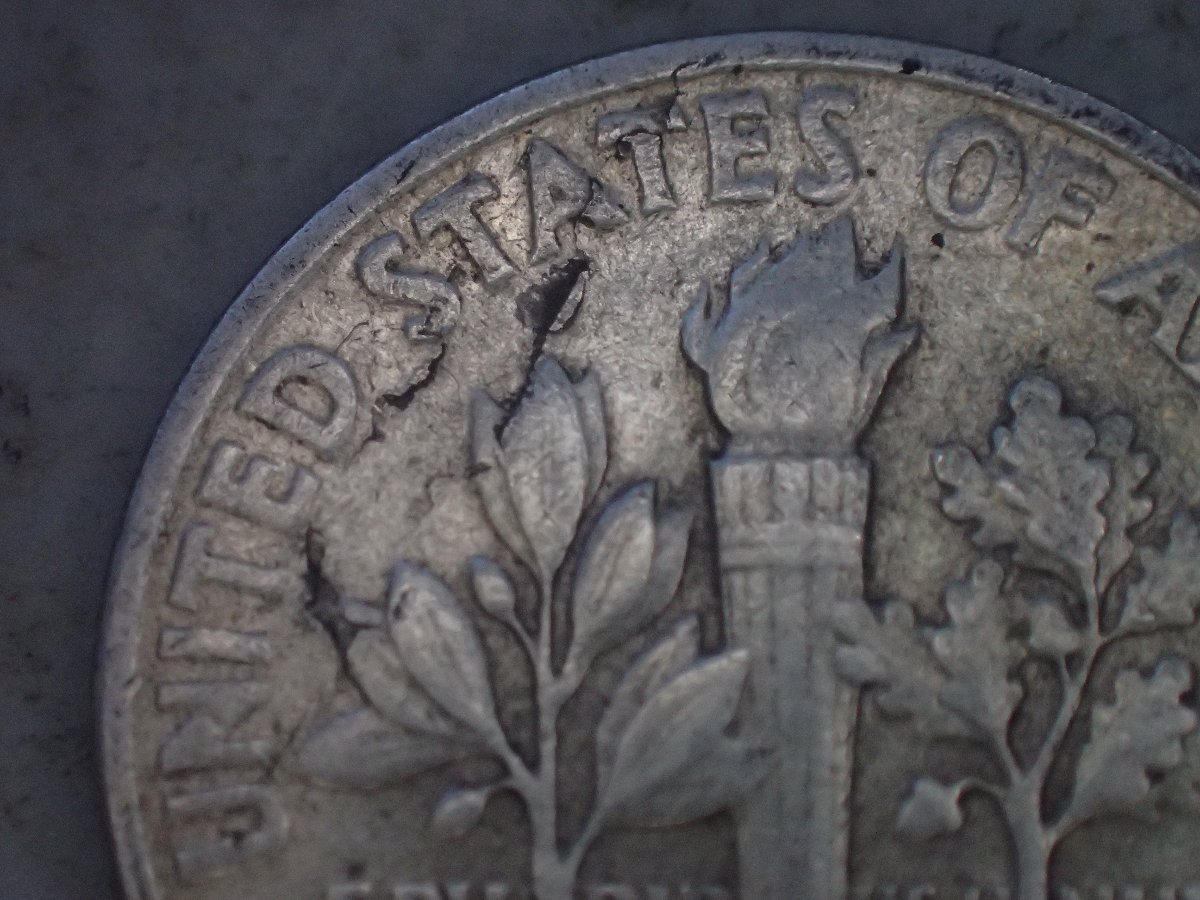 Nice-Delam-1960-Roos-Dime