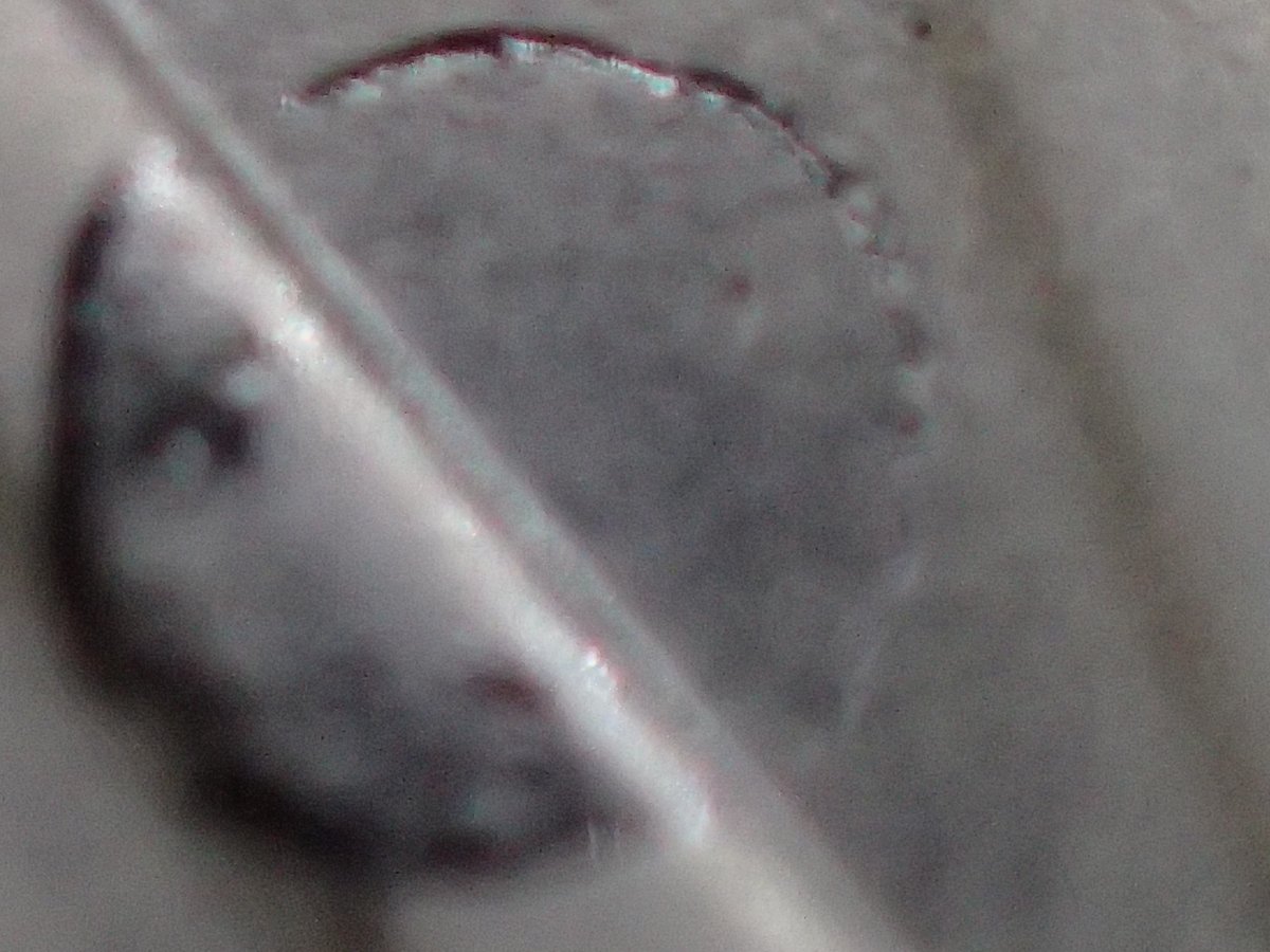 2014-Silver-Eagle-OBV-Damage