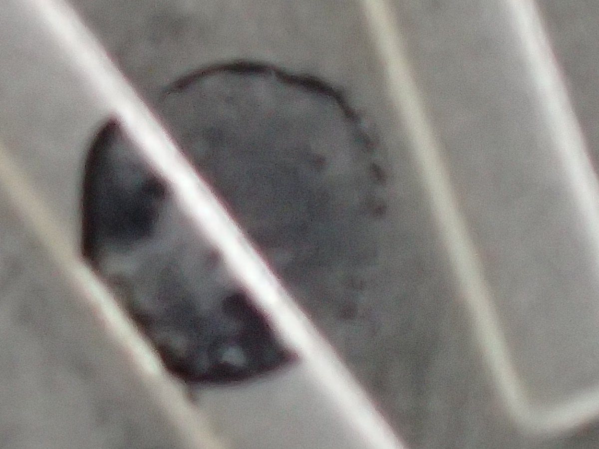 2014-Silver-Eagle-OBV-Damage