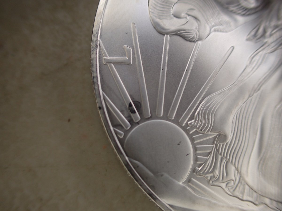 2014-Silver-Eagle-OBV-Damage