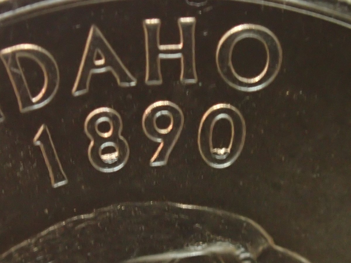 2007-D-Idaho-State-Quarter-Die-Chips