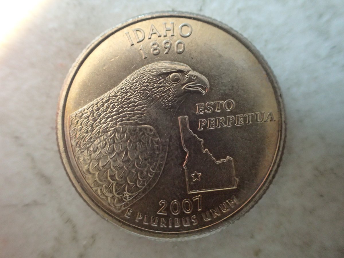 2007-D-Idaho-State-Quarter-Die-Chips