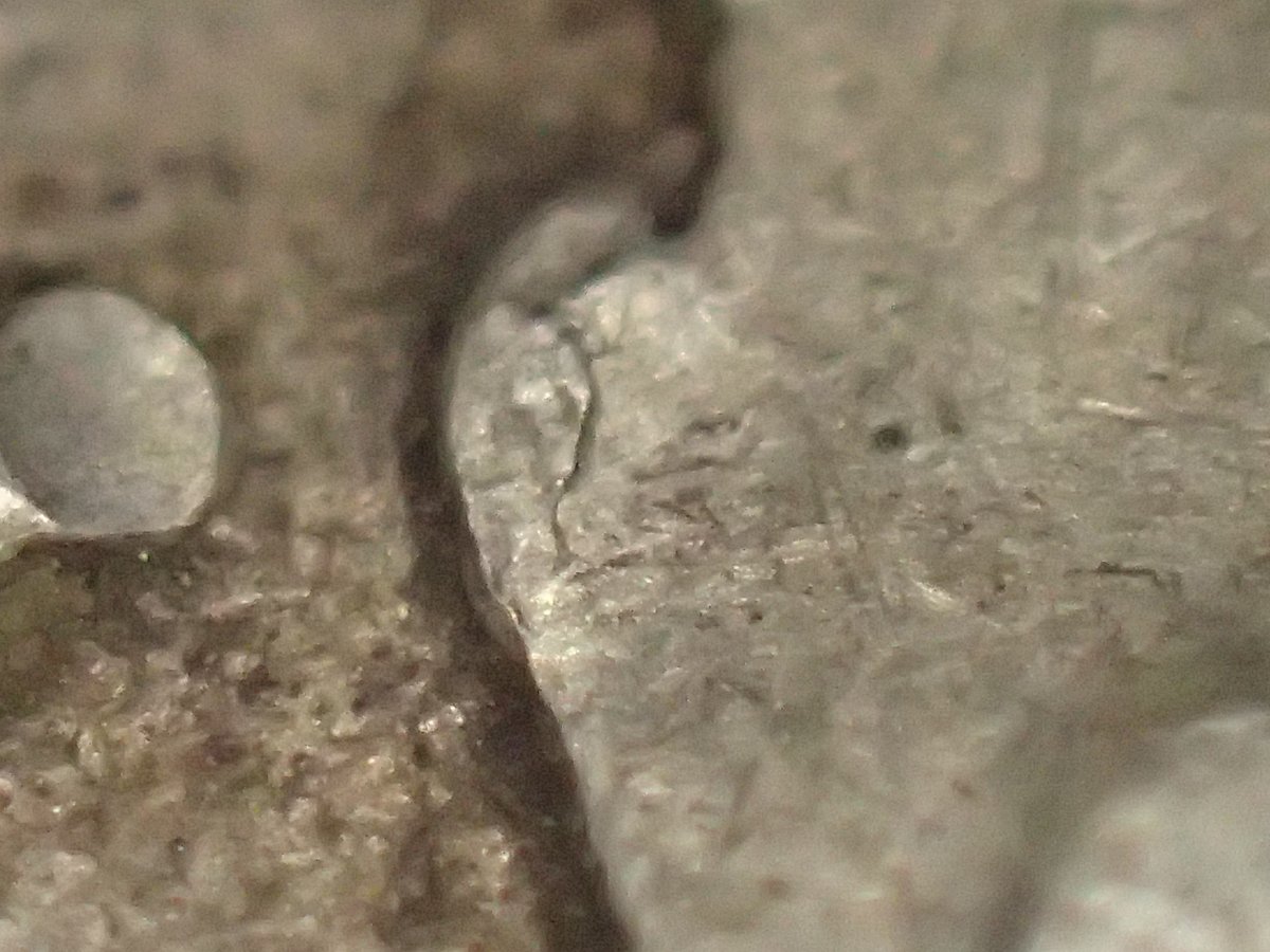 Small-Errors-On-1958-D-Franklin-Half